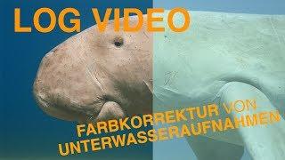 LOG VIDEO Unterwasservideo Farbkorrektur