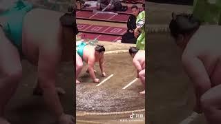 Sumo Wrestling #shorts 