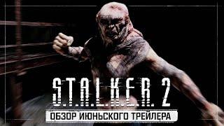 Разбор трейлера S.T.A.L.K.E.R. 2 Сердце Чернобыля c презентации Xbox Games Showcase 2024