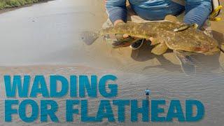 Land Based Flathead Fishing - How to Catch Flathead on Soft Plastics