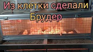 Удобный брудер с терморегулятором и ниппельными поилками для цыплят. Модернизация клетки.