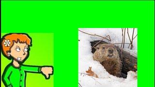 daisy gets grounded on groundhog day