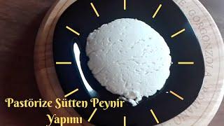 Pastörize Sütten Peynir Yapımıpeynir nasıl yapılır