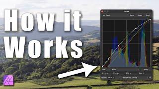 The Affinity Photo Curves Secrets You Need to Know