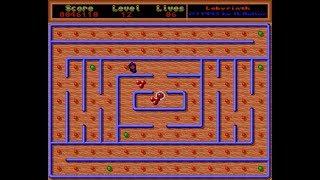 Amiga Longplay Labyrinth