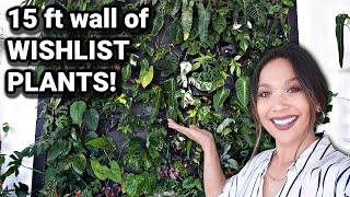 The Most Amazing Living Wall inside a Plant Shop  Plant Shop Tour 2021