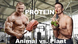 Protein Quality Animal Versus Plant