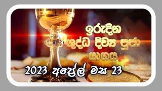 Sunday Mass - Sinhala   2023-04-23