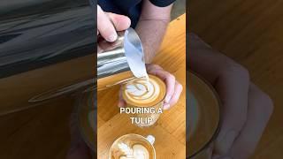 A quick latte art demonstration on how to pour a tulip pattern in coffee ️ #latteart #cafe #barista