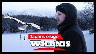 DerHauge in Japan Adler Kraniche und Eis  Hokkaido im Winter
