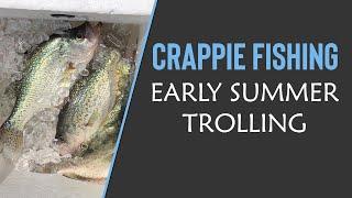  Crappie Fishing - Early Summer Trolling