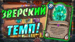 БИГ ДРУИД 2021 Hearthstone Закаленные Степями