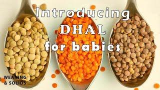 DHAL for Babies  Weaning and Solids Dhananjie Padmaperuma