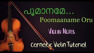 #violintutorial #violinotes #violinshorts #violincover Poomaaname Oru  Nirakkoottu