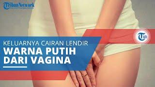 Keputihan Keluarnya Cairan yang Menyerupai Lendir dari Vagina Kenali Gejala & Penyebab Berikut Ini