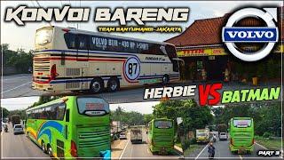 HERBIE VS BATMAN  Konvoi Seru 2 Bus UHD Volvo Saat Trip Pandawa 87 Banyuwangi-Jakarta PART 3