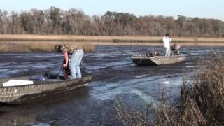 gator tail geting pulled out by a mud buddy