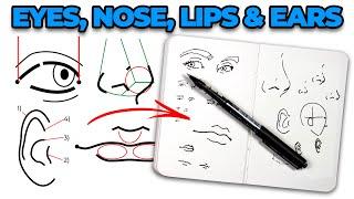 How to Sketch EYES NOSE LIPS & EARS with Simple Ink Lines