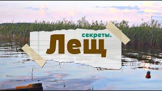 Как наловить много леща в августе и осенью?