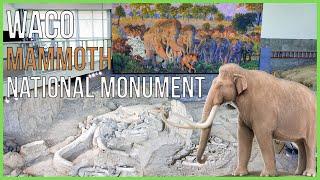 Waco Mammoth National Monument A Window into the Ice Age