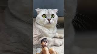 Ekspresi kucing lucu #cat #shorts #viralvideo