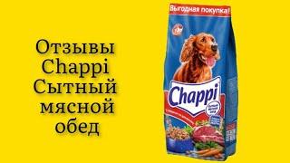 Стоит ли покупать cухой корм для собак Chappi Сытный мясной обед Говядина по-домашнему 15кг отзывы