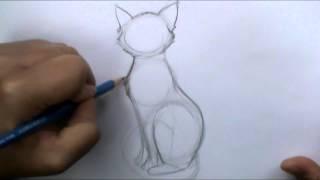 How to draw a basic cat sitting