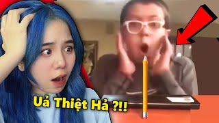 CHỈ CÓ 00001% Người Có Thể Làm Được Điều Này  Mèo Simmy Reaction 