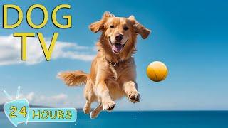 DOG TV Top Video to Keep Your Dog Entertained When Home Alone - Best Collection of Dogs Music Relax