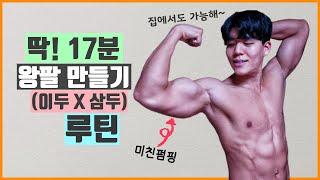 Lv.3.5 집에서 팔이두삼두 작살내는 루틴 덤벨필요x 17mins Intense Arms Workout