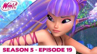 Winx Club - FULL EPISODE  The singing whales  Season 5 Episode 19