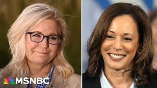 ‘Voting for character’ Former Rep. Liz Cheney endorses VP Harris