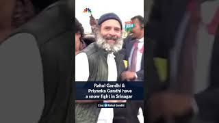 Watch Video Rahul Gandhi & Priyanka Gandhs Fun Snowball Fight During Bharat Jodo Yatra In Srinagar