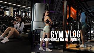 GYM VLOG #1  Тренировка в зале на ягодицы план тренировок gym workout