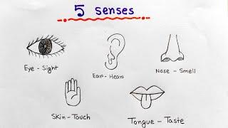 Sensor organs drawing easily  How to draw sense organs easy  External sense organs drawing idea
