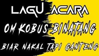 LAGU PARTY FULL  ACARAH OM KOBUS B1N4T4NG  BIAR NAKAL TAPI GANTENG  REMIXx#fyptiktok