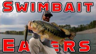 Targeting Giant Bass With Swimbaits  On The Water 