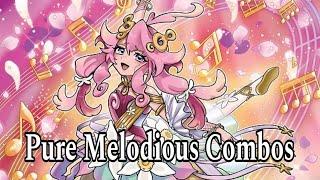 Pure Melodious 幻奏 Combos  Yu-Gi-Oh  Edopro by Arslan