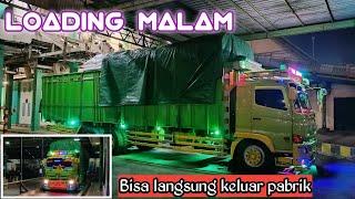 LOADING MALAM‼️KUCING RASTA SELESAI MUAT LANGSUNG BISA KELUAR PABRIK