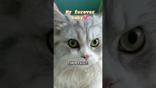 Always and forever  #pets #cat #skincare #catlover