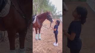 Little girl kiss horse #horse #horselover #horsepower #ghoda #ghodi #ghodiyan #shorts #viral #horses
