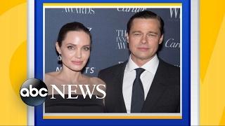 Brad Pitt Angelina Jolies Custody Case