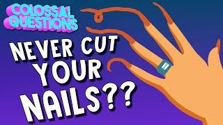 What If You Never Cut Your Fingernails?  COLOSSAL QUESTIONS