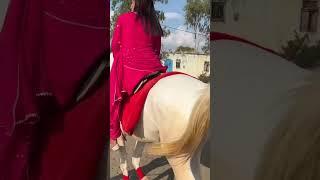 Indian Girl horse ride. haryana girl horse ride.imkavy horse ride. #ghoda #horse #horses #horselover