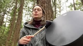 Guided shamanic drumming journey - meet your ally spirit guide or power animal