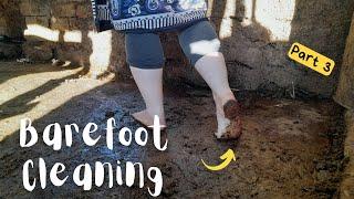 Cleaning the cow barn barefoot  Dirty feet & soles