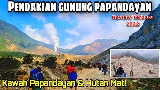 Gunung Papandayan Garut  Review Lengkap Terbaru agustus 2022 - Hutan Mati dan Kawah Papandayan