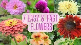 7 Easy & Fast Flowers To Grow From Seed. Beginner Friendly Annual Flowers