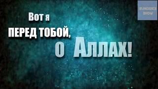 НашидВот я перед тобой о Аллах - Лаббайка