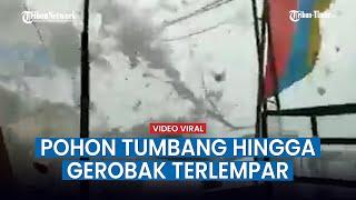 Detik detik Menegangkan Hujan Badai di Bogor Billboard dan Pohon Tumbang hingga Gerobak Terguling